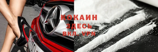 индика Инсар
