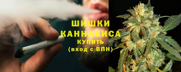 прущие грибы Иннополис