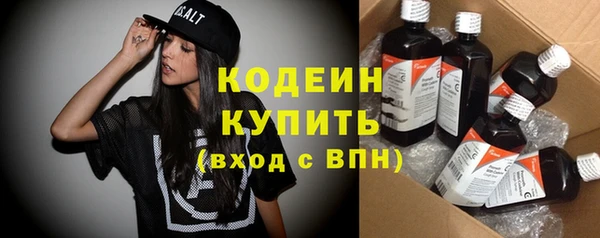 индика Инсар