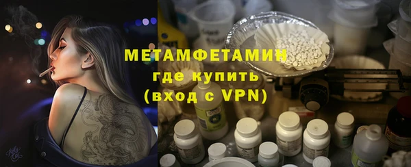 прущие грибы Иннополис
