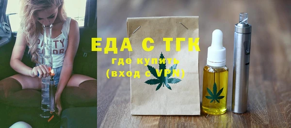 индика Инсар