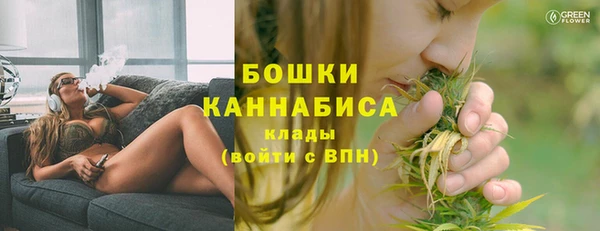 индика Инсар