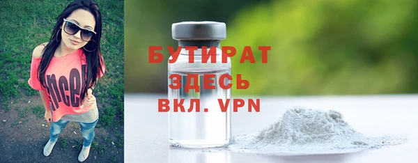 индика Инсар