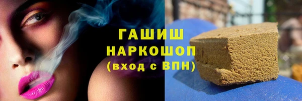 индика Инсар
