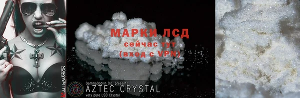 индика Инсар