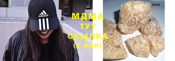 индика Инсар