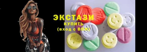индика Инсар