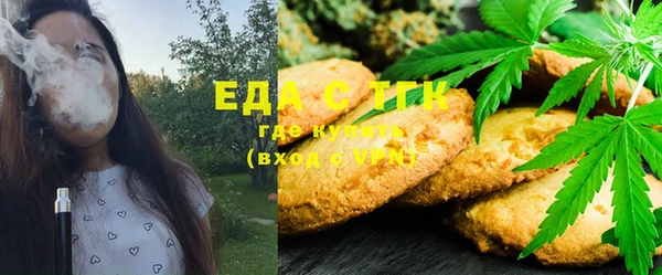 индика Инсар