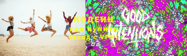 прущие грибы Иннополис