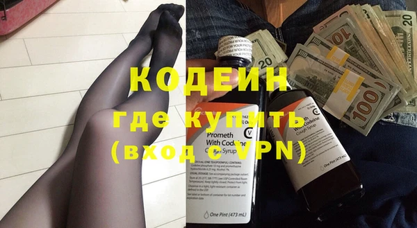индика Инсар