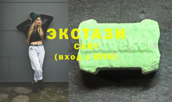 индика Инсар
