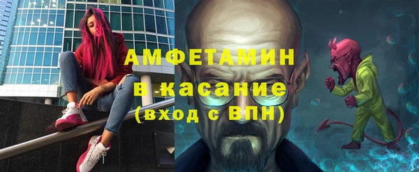 прущие грибы Иннополис