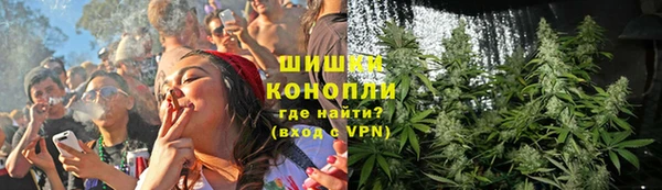 индика Инсар