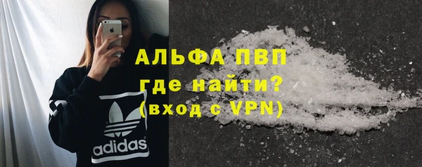 прущие грибы Иннополис
