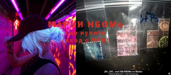 индика Инсар