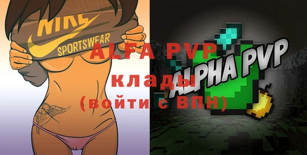 прущие грибы Иннополис