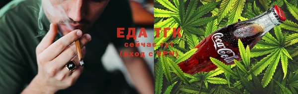 прущие грибы Иннополис